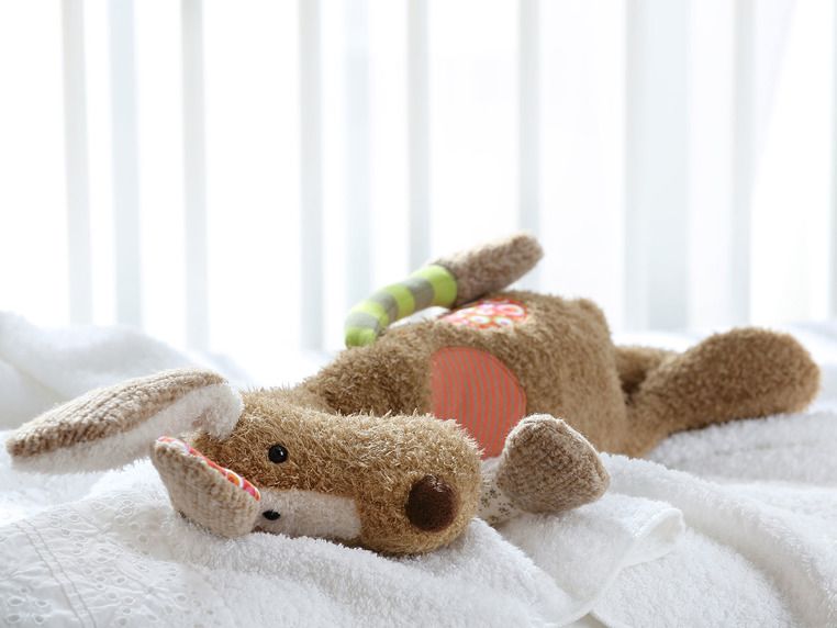 Brązowy pies Patchwork Sweety Brązowy pies Patchwork Sweety