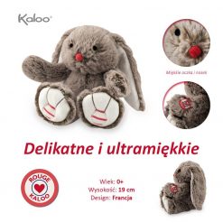 Królik czekoladowy brąz