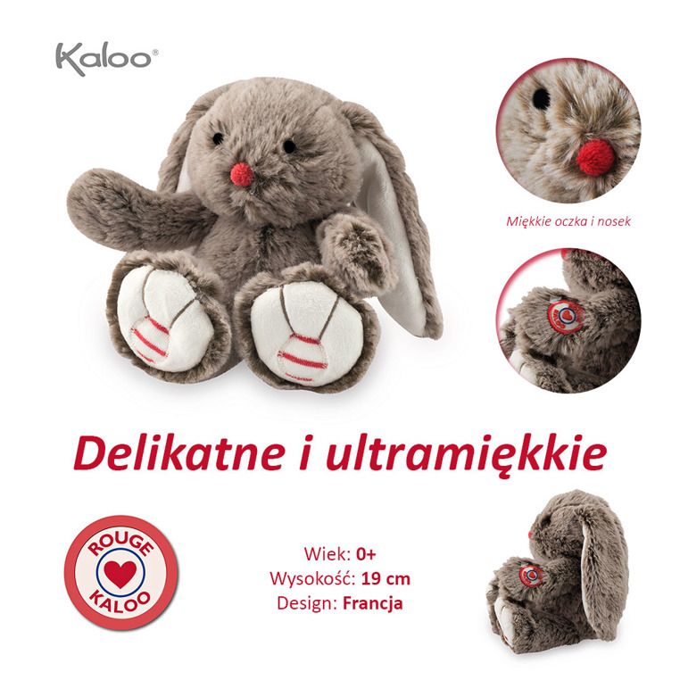 Królik czekoladowy brąz Królik czekoladowy brąz