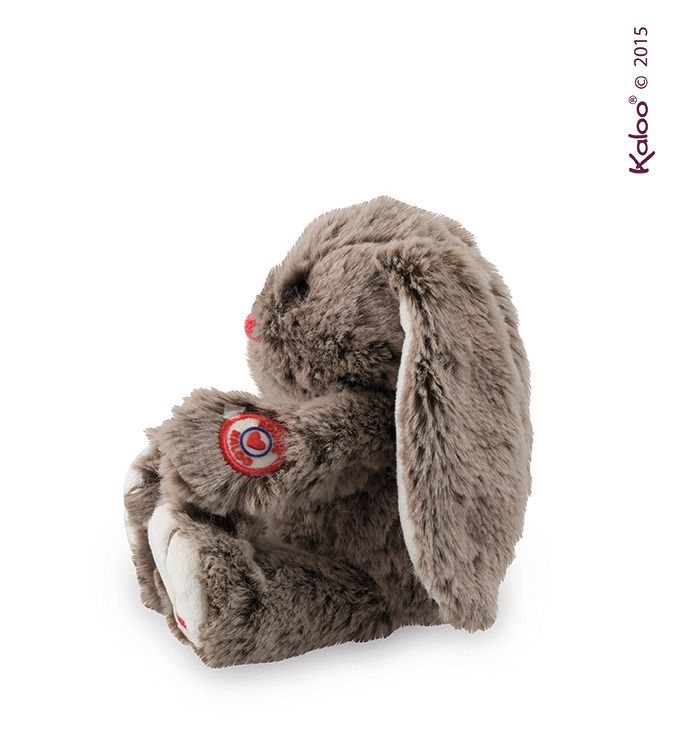 Królik czekoladowy brąz Królik czekoladowy brąz