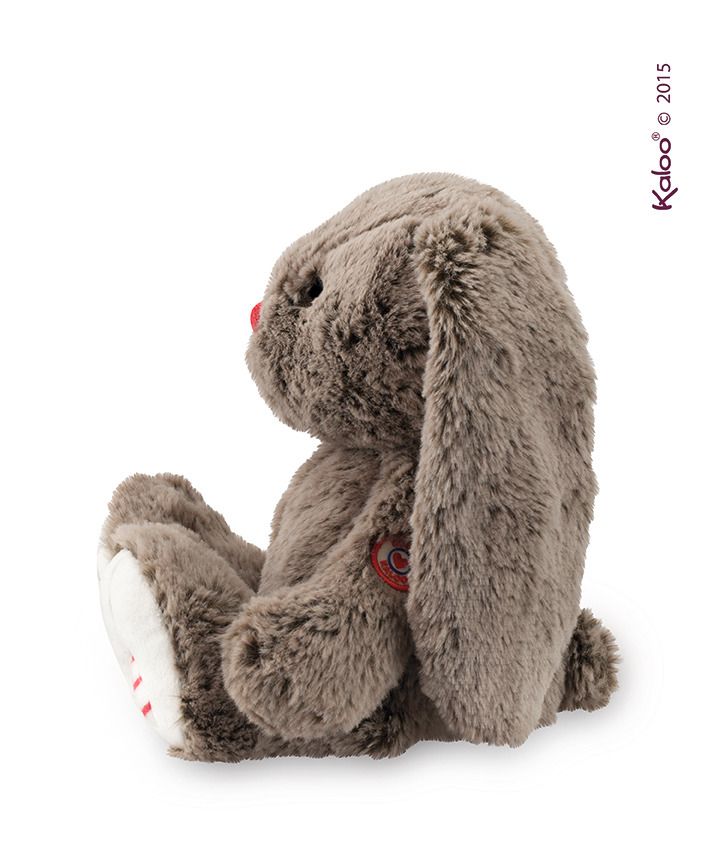 Brązowy królik Brązowy królik