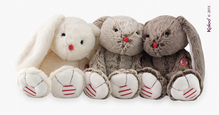 Brązowy królik Brązowy królik