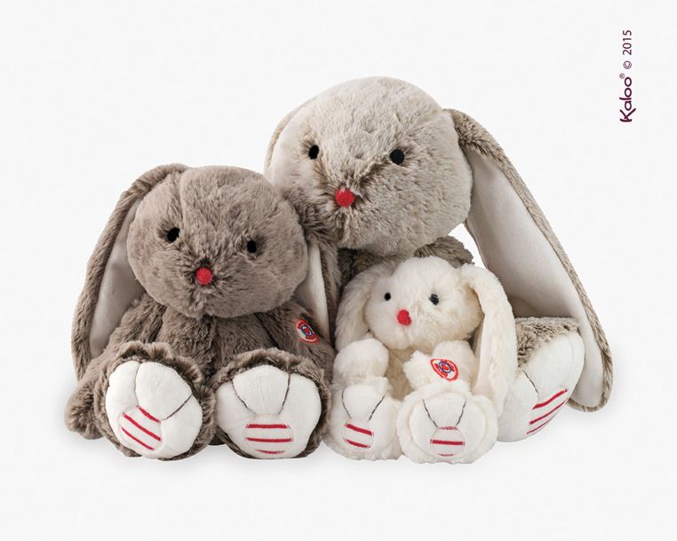 Brązowy królik Brązowy królik