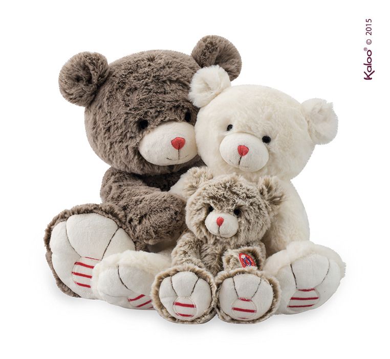 Duży brązowy Miś Duży brązowy Miś