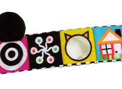 Książka Wimmer Ferguson