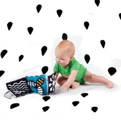 Książka Wimmer Ferguson