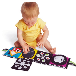 Książka Wimmer Ferguson