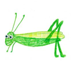 Zestaw Rubeez Artbox