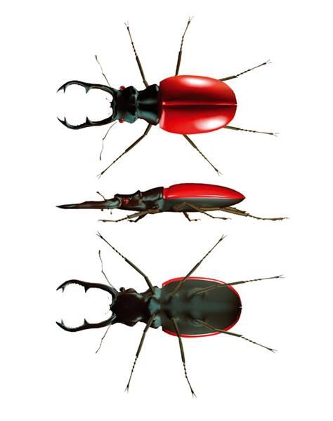 Pojemnik dwukomorowy Pojemnik dwukomorowy