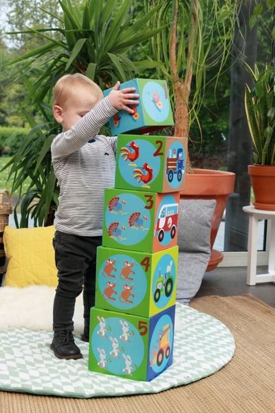 Piramida edukacyjna Farma Piramida edukacyjna Farma