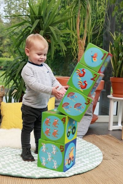 Piramida edukacyjna Farma Piramida edukacyjna Farma