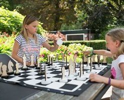 Gra logiczna Szachy XL