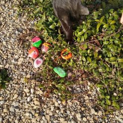 Kamienie do malowania