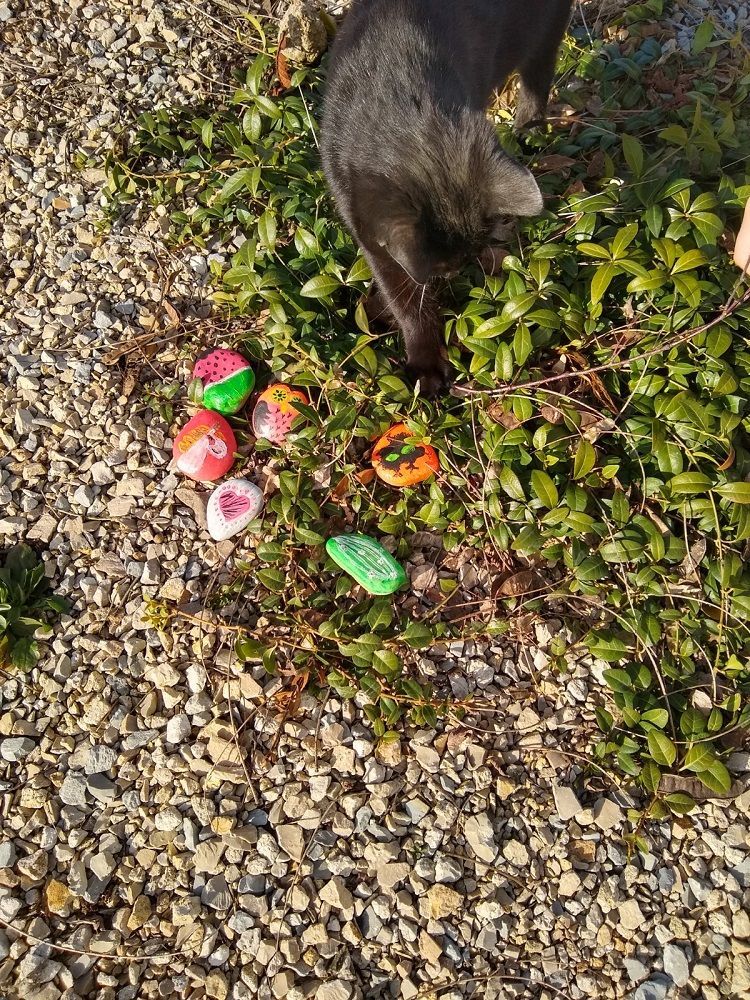 Kamienie do malowania Kamienie do malowania