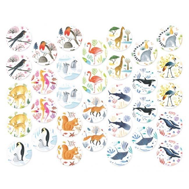 Gra memo Dzika przyroda Gra memo Dzika przyroda