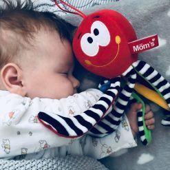 Grzechotka Ośmiornica