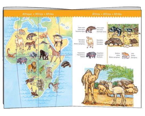 Puzzle Świat zwierząt z książeczką
