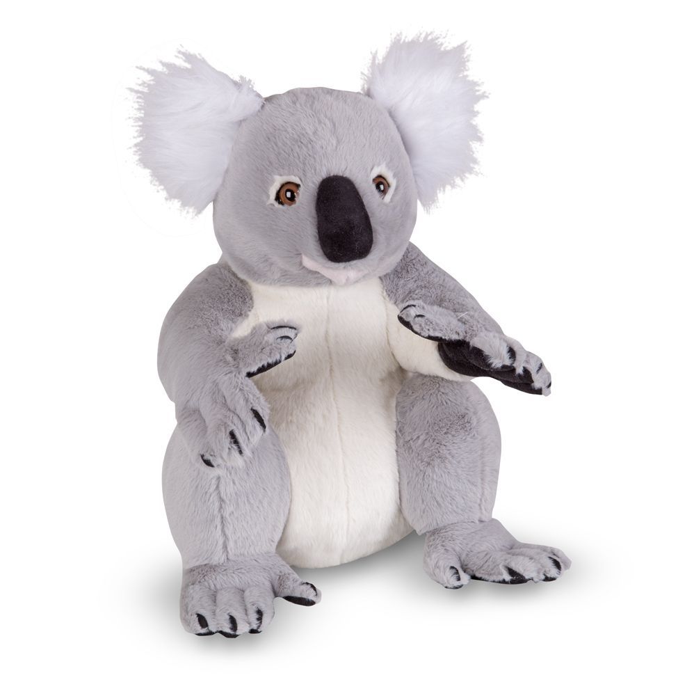 Koala – duży pluszak Koala – duży pluszak