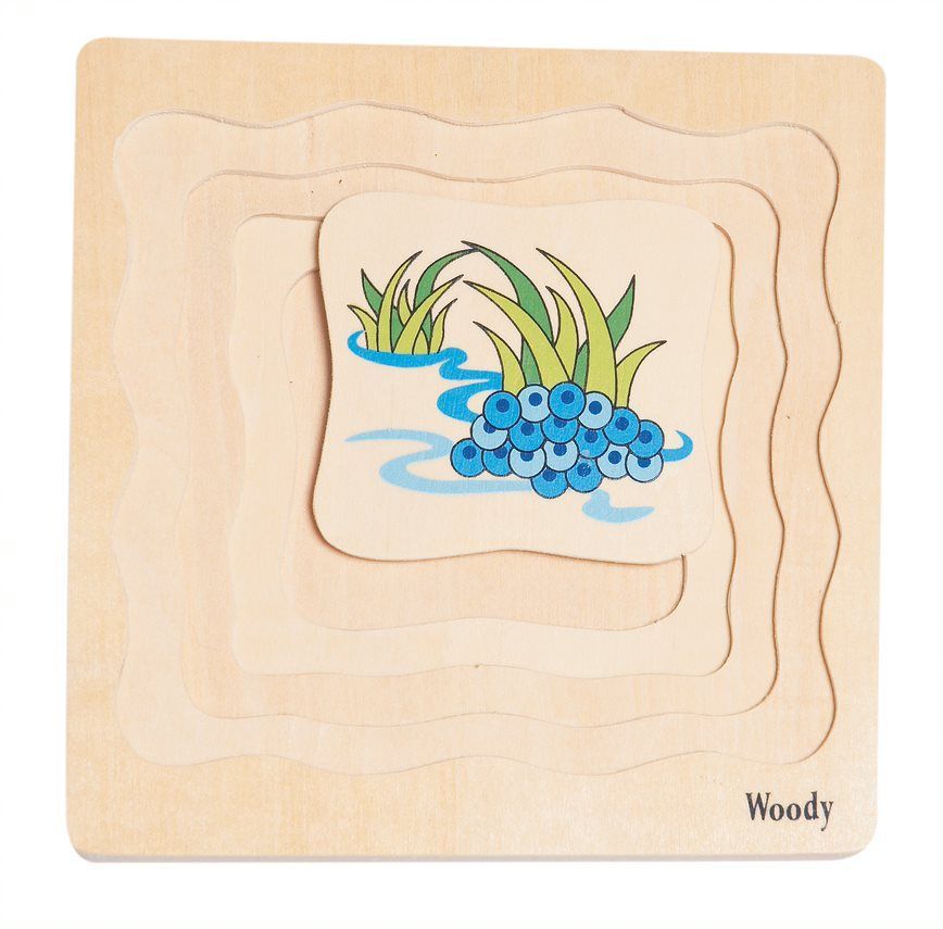 Puzzle warstwowe Życie Żaby Puzzle warstwowe Życie Żaby