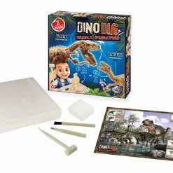 Mały archeolog szkielety dinozaurów