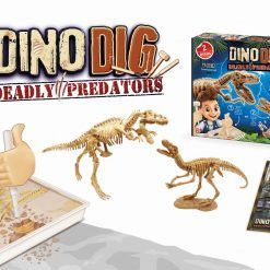 Mały archeolog szkielety dinozaurów