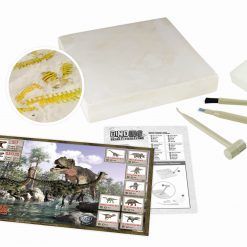 Mały archeolog szkielety dinozaurów