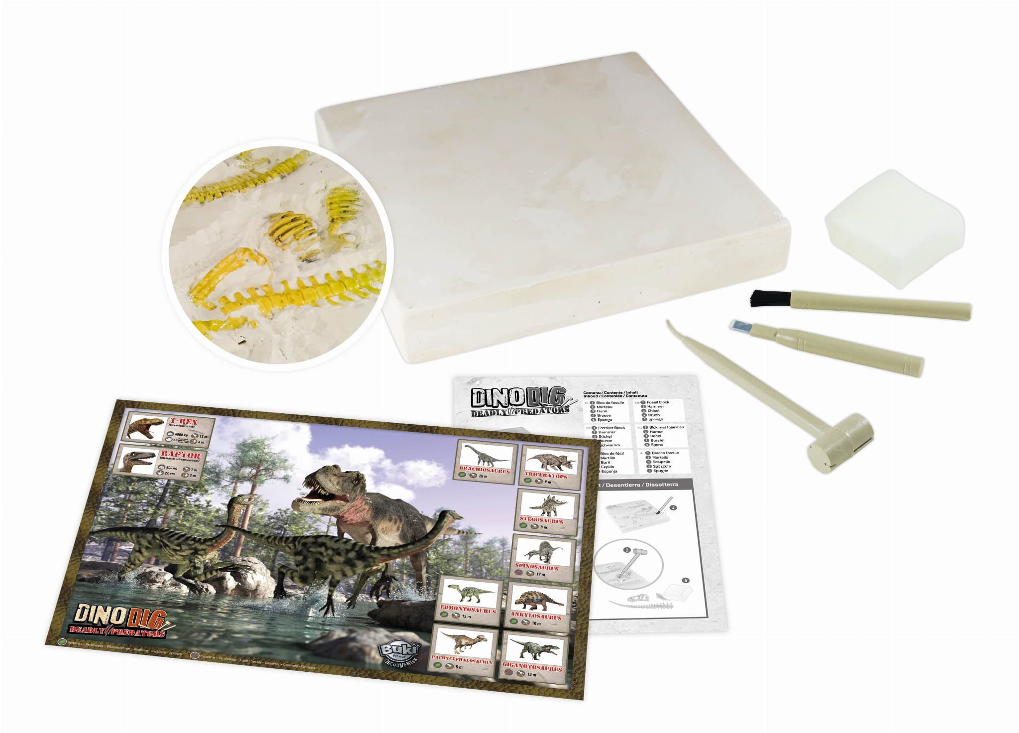 Mały archeolog szkielety dinozaurów Mały archeolog szkielety dinozaurów