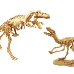 Mały archeolog szkielety dinozaurów
