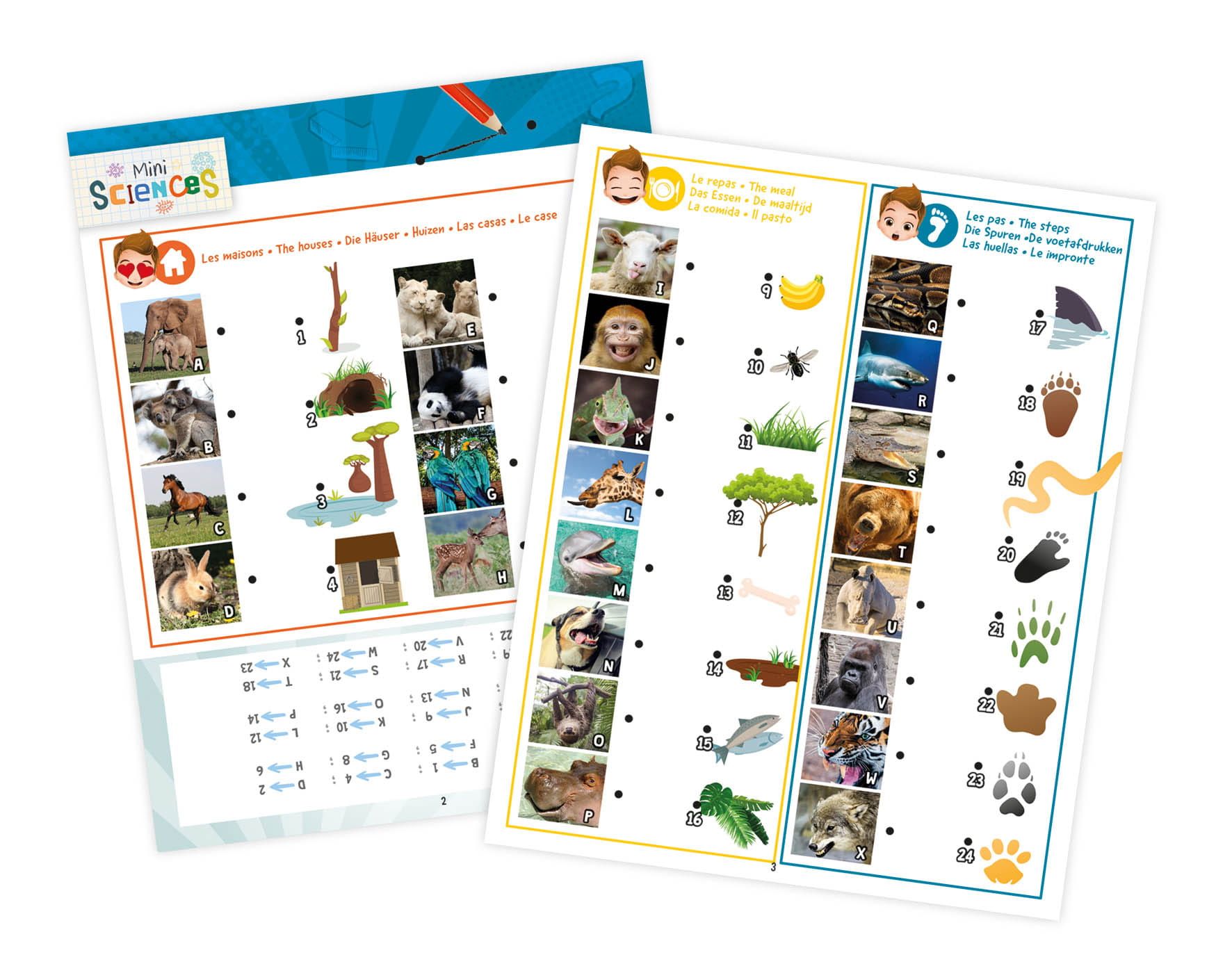 Latarka 3w1 Mini Sciences Latarka 3w1 Mini Sciences