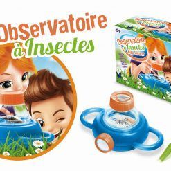 Obserwatorium żywych owadów