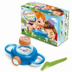 Obserwatorium żywych owadów