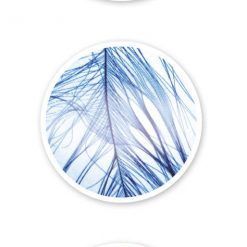 Mikroskop - 15 doświadczeń