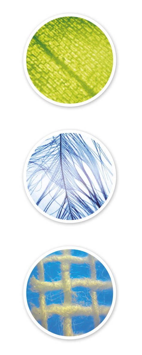 Mikroskop - 15 doświadczeń Mikroskop - 15 doświadczeń