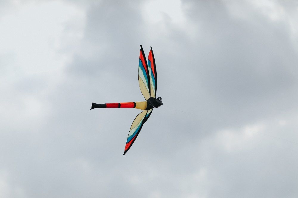 Latawiec Ważka Latawiec Ważka