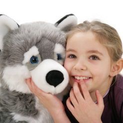 Pluszak pies – husky Marcus