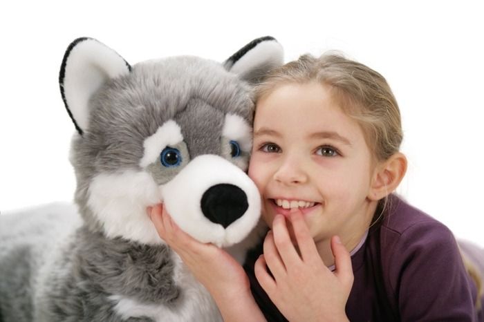 Pluszak pies – husky Marcus 80cm Pluszak pies – husky Marcus 80cm