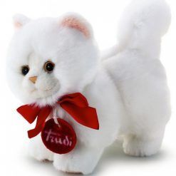 Mała maskotka – kot perski