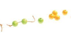 Schodki z koralików tęczowe