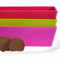 Mały ogród warzywny marchewka