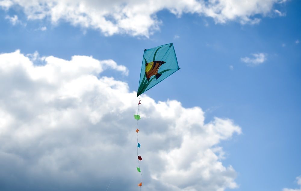 Latawiec Rybka Latawiec Rybka