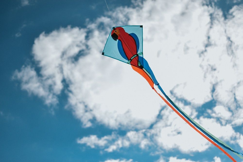 Latawiec z papugą Latawiec z papugą