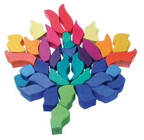 Motyl tęczowy Motyl tęczowy