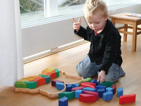 Motyl tęczowy Motyl tęczowy