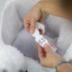 Bujak lama z fotelikiem na biegunach