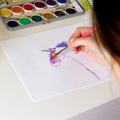 Farby 12 Kolorów Plus Biała i Pędzle