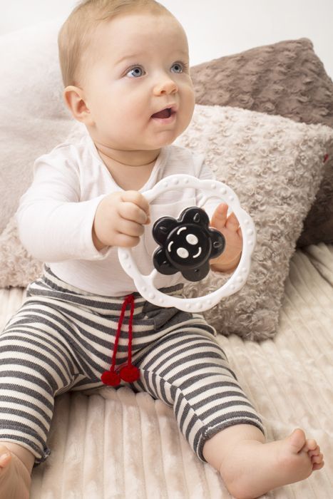 Grzechotka kwiatek Grzechotka kwiatek