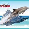 Puzzle konturowe I AM – Delfin 100 el.