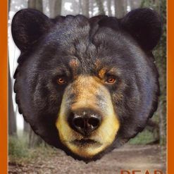 Puzzle konturowe I AM - Niedźwiedź 550 el.