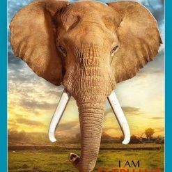 Puzzle konturowe I AM – Słoń 700 el.