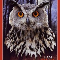 Puzzle konturowe I AM - Sowa 550 el.